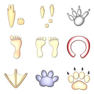 Animal Tracks icon sets preview
