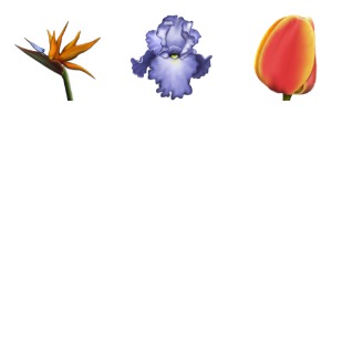 Flowers icon sets preview