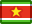 flag, suriname icon