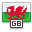 Flag, Wales icon