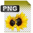 png icon