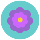 flower, flowers, aroma, blossom, nature icon
