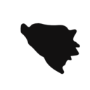 Bosnia and Herzegovina country map black shape icon