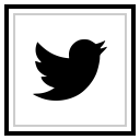 social, media, logo, twitter icon