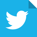 social, tweet, bird, twitter icon