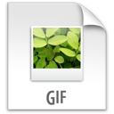 z, gif, file icon