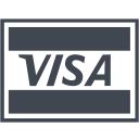 shopping, cash, ecommerce, financial, finance, business, payment, money, price, visa card, buy, visa, credit, currency icon