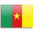 cameroon, flag, country icon