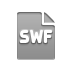 file, swf, format icon