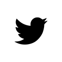 company, social, twitter, logo, media icon