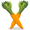 carrots icon