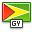 flag guyana icon