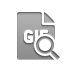 gif, zoom, file, format icon