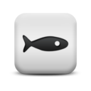 animal,fish icon