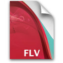 file flv icon