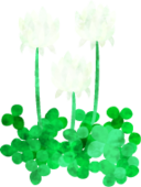 white,clover icon