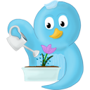 bird, flower, spring, twitter icon