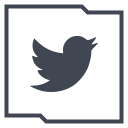 social, company, twitter, logo, media icon