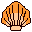 Orange shell icon