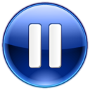Player Pause icon