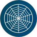 web, halloween, spider icon