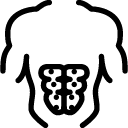 Sports Prelum icon