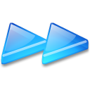 Action arrow blue double right icon