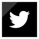 logo, media, twitter, social icon