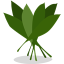 Greens icon