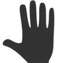 Hand, Whole icon