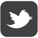 follower, tweet, follow, twitter, social, connect, bird, social media icon
