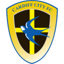 Cardiff, City icon