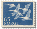 Norway Swans icon
