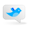 social network, social, twitter, sn, birdie icon