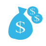 bag, money icon