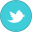 twitter, variation, old icon