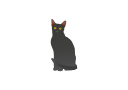 black cat, cat icon