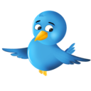 twitter,bird,animal icon