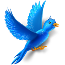 flying, animal, bird, twitter, social, social network, sparkle, sn icon