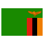 zm icon