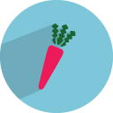 carrot 2 icon