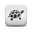 animal,turtle icon