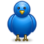 bird, twitter icon