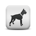 animal,dog icon
