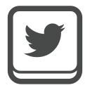 social, social media, twitter, connect, profile, account icon