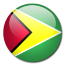 guyana,flag,country icon
