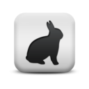 animal,rabbit icon