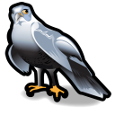 hawk, animal icon