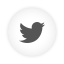Bird, Round, Twitter, White icon