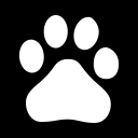 baidu icon